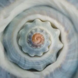 マツエク・マツパ 🦋MaaZlash 南流山FUKA🤍のマツエク・マツパデザイン