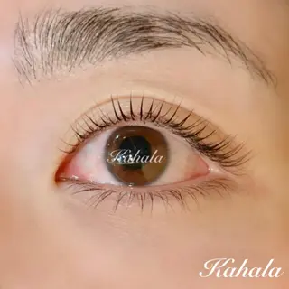 マツエク・マツパ Fujimoto 🦭⸝⋆꙳のマツエク・マツパデザイン