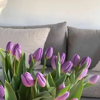 メンズ マツエク・マツパ アイブロウ GO TODAY SHAiRE SALON所属・𓂃◌𓈒𓐍 shioriのマツエク・マツパデザイン