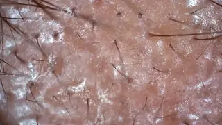 五十嵐 蓮のその他イメージ