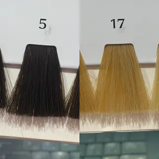 🎀🐰堀川 智史🐰🎀のヘアスタイル