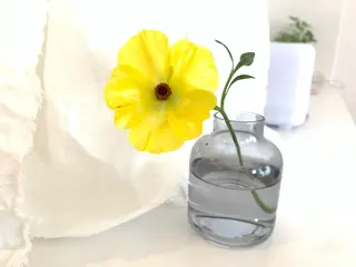 小顔&デコルテ Spa “koti”のエステ・リラクイメージ