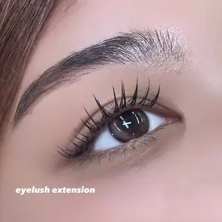マツエク・マツパ new-line eye+Tokyo所属・aoki kokoneのマツエク・マツパデザイン