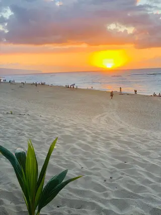 𝐘𝐎𝐒𝐇𝐈 𝐌𝐈🌞🏝のマツエク・マツパデザイン