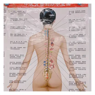 美腸専門 漢方よもぎ蒸しのエステ・リラクイメージ