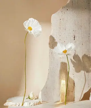 ネイル Ai Nail所属・Ai Nailのネイルデザイン