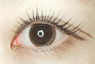 ãããšã¯ã»ããã ðððð ã¢ã€ãªã¹ã â€ïžã®ãããšã¯ã»ããããã¶ã€ã³