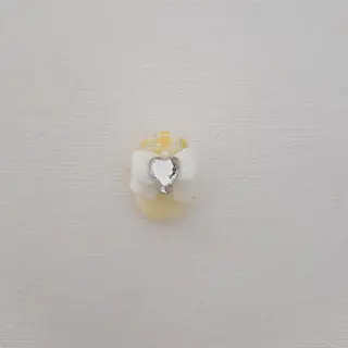 ネイル owlnail /持込みデザイン専門のネイルデザイン