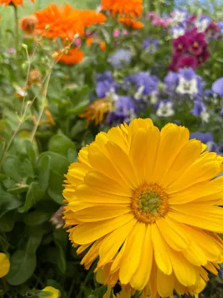 体質改善サロンCOTO所属・プライベートサロン COTOのエステ・リラクイメージ