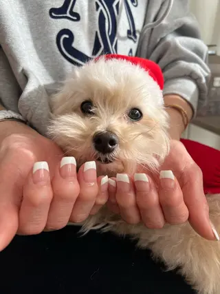 ネイル Nes.Nail所属・Miyagi Asamiのネイルデザイン