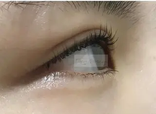 マツエク・マツパ トレヴァーデルチザン inuiのマツエク・マツパデザイン