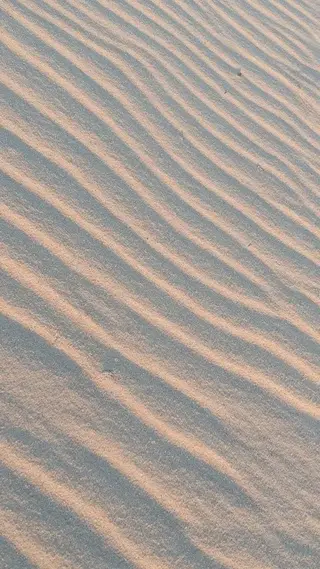 ∴Sanae. ∴ トータルビューティーのネイルデザイン