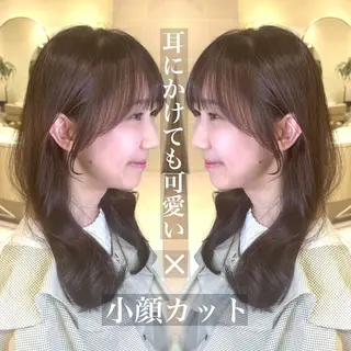 セミロング 韓国風/小顔レイヤー /艶カラーのヘアスタイル