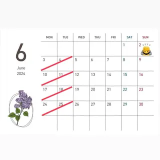 ミディアム 韓国風ﾊﾟｰﾏ❁﻿ fu-ka❁艶ｶﾗｰのヘアスタイル