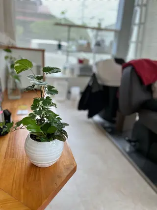 ナチュラルオーブン大村店所属・ナチュラルオーブン 大村店🍀深松孝枝のヘアスタイル