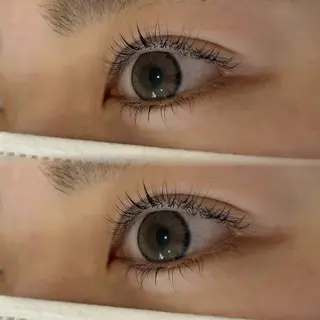 マツエク・マツパ AVANCE 森のマツエク・マツパデザイン