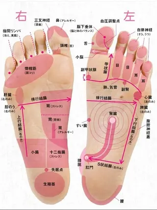 MaylaBeauty【マイラビューティー】所属・マイラ ビューティーのその他イメージ