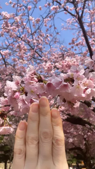 メンズ ネイル ハンドケア&ネイルケア桃の木所属・ケアリスト🍀 マリユキのネイルデザイン