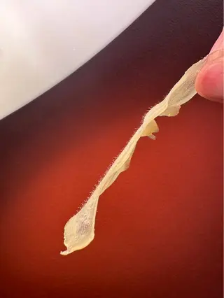 マツヤニワックス専門 南森町 ルミエールのエステ・リラクイメージ