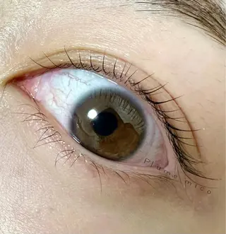 マツエク・マツパ Plume micoのマツエク・マツパデザイン