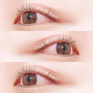 マツエク・マツパ Lanhr所属・【Lanhr】 🕊aya🕊のマツエク・マツパデザイン