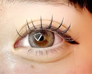 マツエク・マツパ Celeste Venus所属・🧸Celeste Venusのマツエク・マツパデザイン