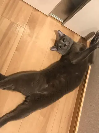 ショート カラー パーマ ヘアアレンジ メンズ キッズ ネイル マツエク・マツパ アイブロウ アニメ,Vオタク× 即効痩せエステサロンのエステ・リラクイメージ