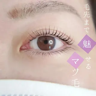 マツエク・マツパ grace nature〜眉毛とまつ毛の専門店〜所属・眉まつ毛専門店🦄g racenatureのマツエク・マツパデザイン
