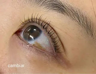 マツエク・マツパ cambiar所属・カンビ アールのマツエク・マツパデザイン