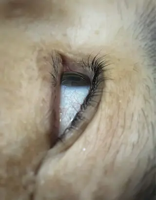 マツエク・マツパ Pilina所属・Pilina 長岡のマツエク・マツパデザイン