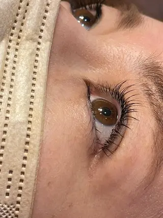 マツエク・マツパ MIMI RUSH 塚本の眉毛・アイブロウイメージ