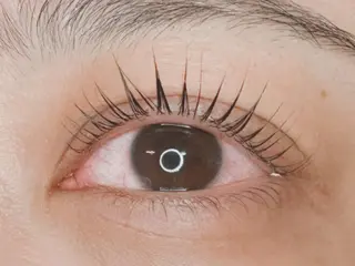 ãããšã¯ã»ããã ðððð ã¢ã€ãªã¹ã â€ïžã®ãããšã¯ã»ããããã¶ã€ã³