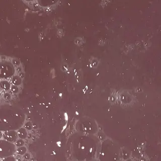 ネイル OTOHA/ 渋谷/パラジェルのネイルデザイン