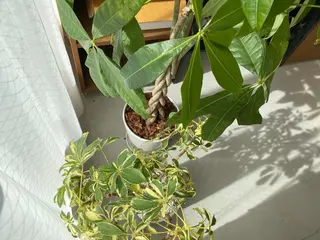 Retreatリトリート所属・歯科医院提携 Retreatのその他イメージ