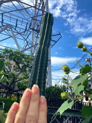 メンズ ネイル ハンドケア&ネイルケア桃の木所属・ケアリスト🍀 マリユキのネイルデザイン
