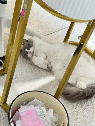 ネイル Sun Nail 池袋のエステ・リラクイメージ