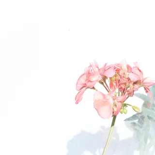 TIÁM eyelashのマツエク・マツパデザイン