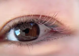 マツエク・マツパ Plume micoのマツエク・マツパデザイン