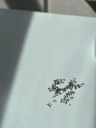 ネイル Private nailsalon  N所属・N nail - KOBE -のネイルデザイン