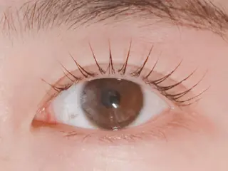 ãããšã¯ã»ããã ðððð ã¢ã€ãªã¹ã â€ïžã®ãããšã¯ã»ããããã¶ã€ã³