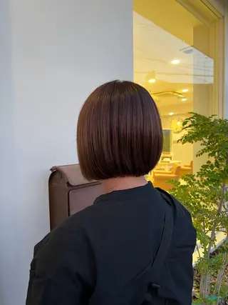 ミディアム 長尾ゆりの/ボブ/ ベージュ/ハイトーンのヘアスタイル