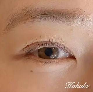 マツエク・マツパ アイラッシュリゾートカハラ　国分寺所属・Saki yのマツエク・マツパデザイン