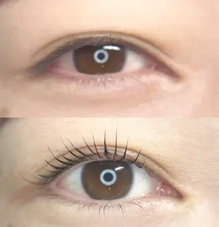 マツエク・マツパ LEDエクステ専門店 Fedis 京橋のマツエク・マツパデザイン