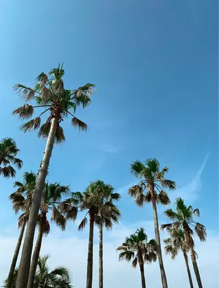 𝐘𝐎𝐒𝐇𝐈 𝐌𝐈🌞🏝のマツエク・マツパデザイン