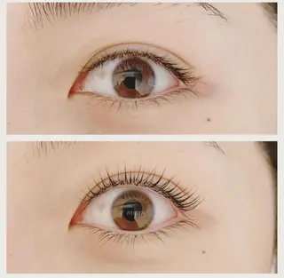 マツエク・マツパ ｍｉｐｐｙ 🪽のマツエク・マツパデザイン