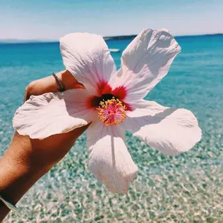 𝐘𝐎𝐒𝐇𝐈 𝐌𝐈🌞🏝のマツエク・マツパデザイン