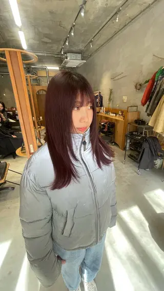 セミロング レディースカット 鮫島竜海のヘアスタイル