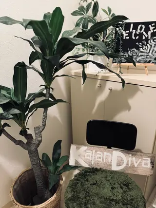 KalanDiva〜 ｶﾗﾝﾃﾞｨｰﾊﾞ〜のエステ・リラクイメージ