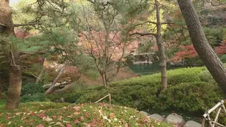 g*rossa高橋 くみこのエステ・リラクイメージ