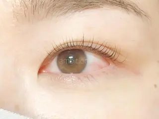 マツエク・マツパ デイジーラッシュ 大阪駅前第3ビルのマツエク・マツパデザイン